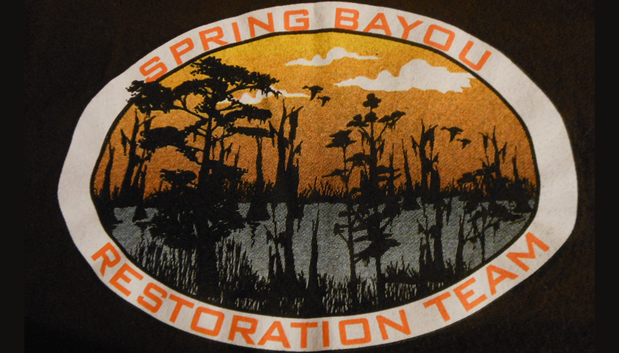 SpringBayouRestTeam